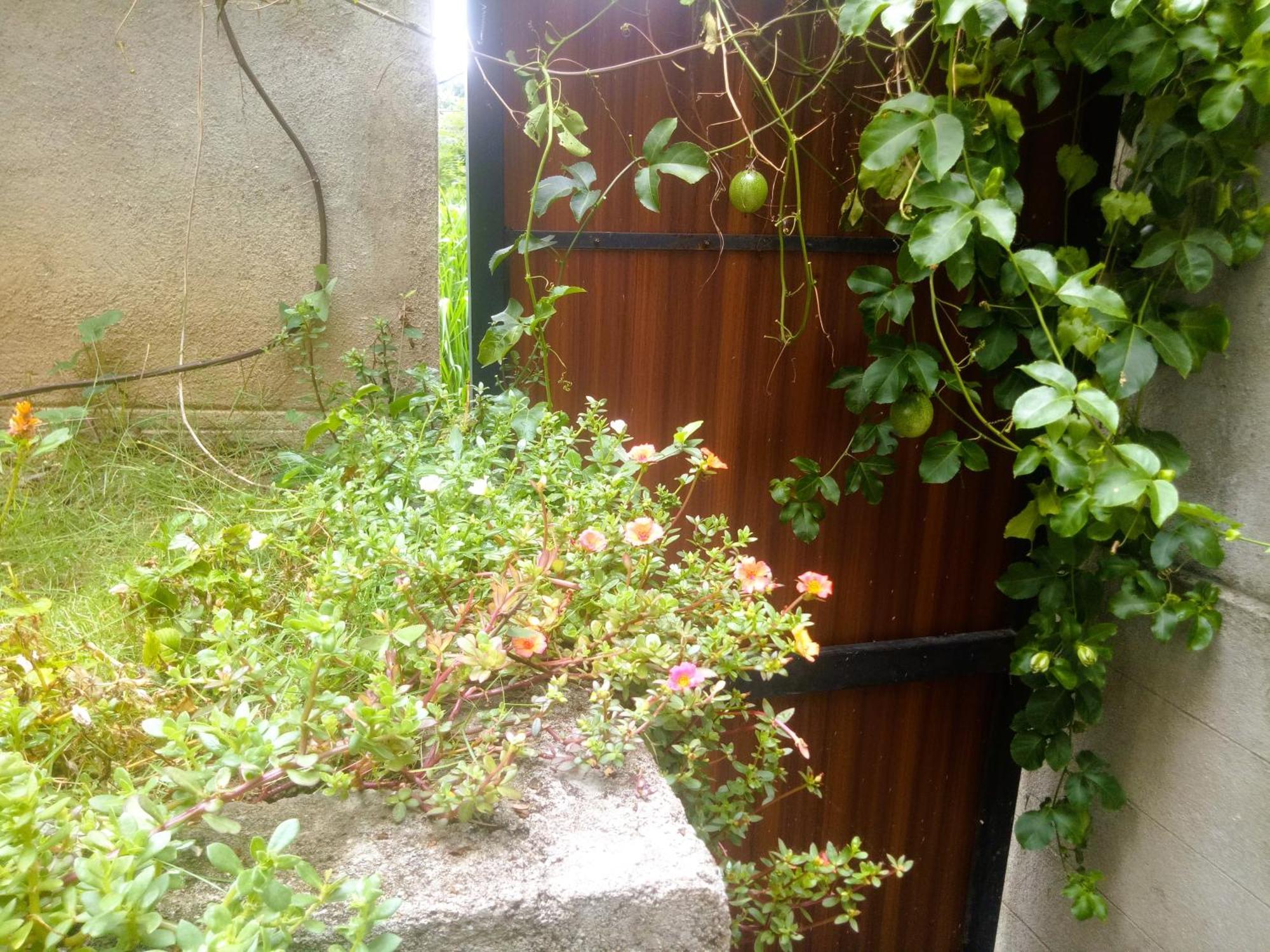 Ella Delightful Surround Homestay Esterno foto